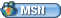 MSN